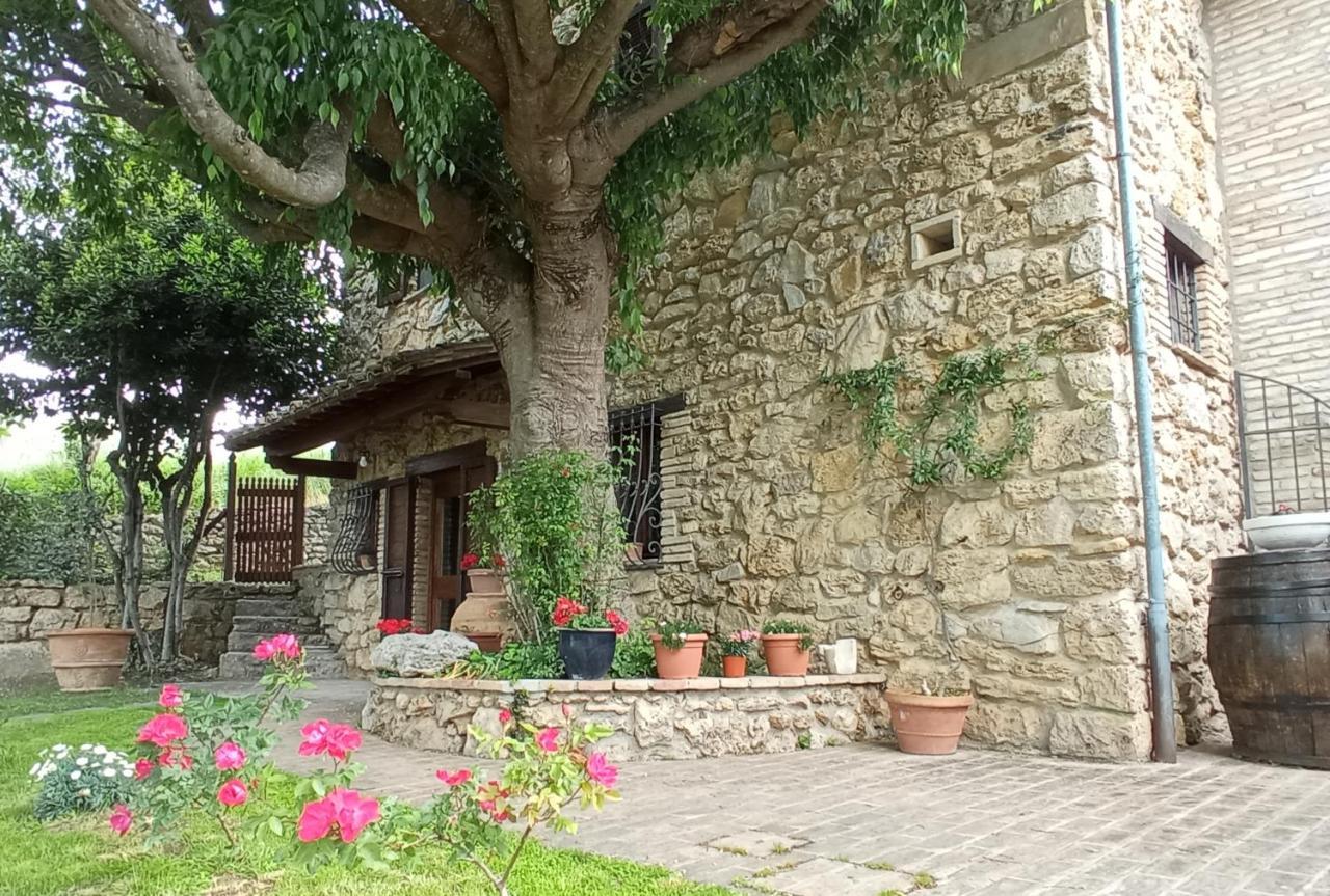 All'Ombra Di San Damiano Asyż Zewnętrze zdjęcie