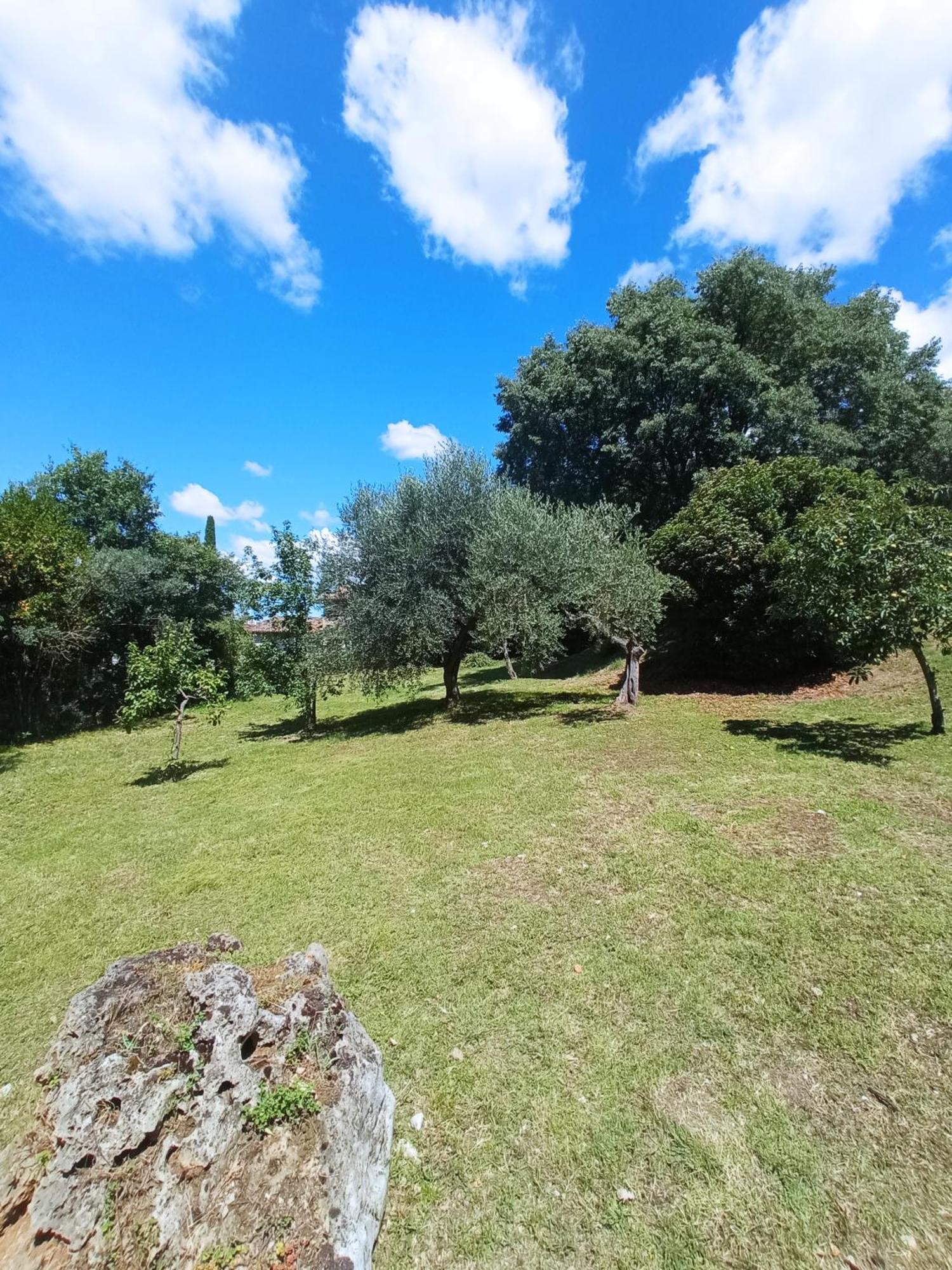 All'Ombra Di San Damiano Asyż Zewnętrze zdjęcie