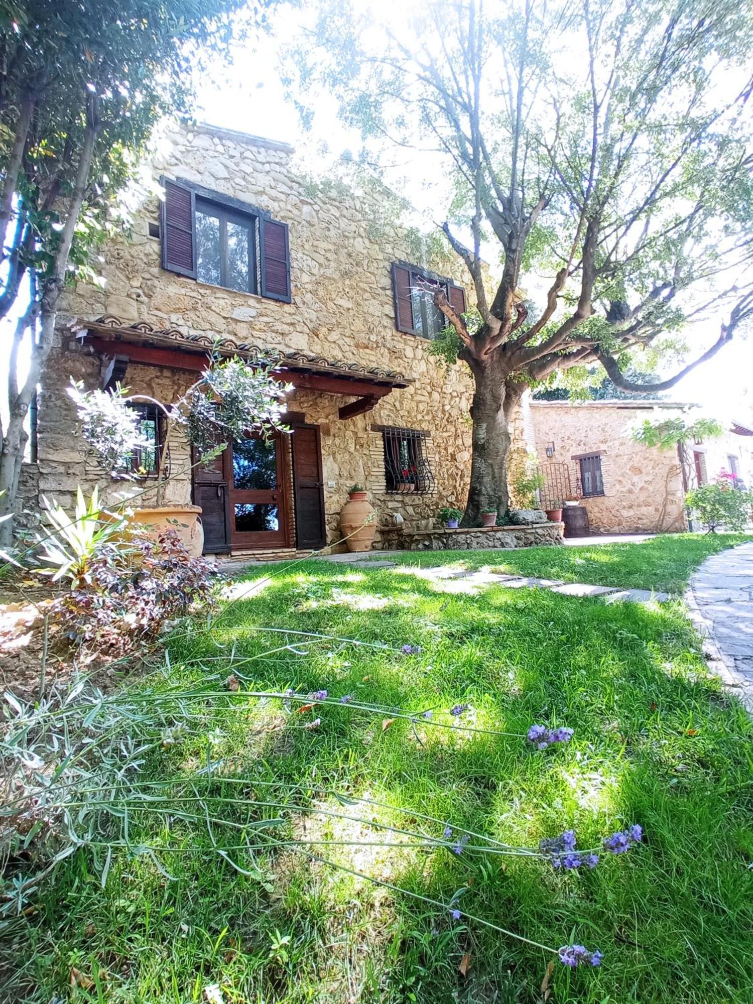 All'Ombra Di San Damiano Asyż Zewnętrze zdjęcie