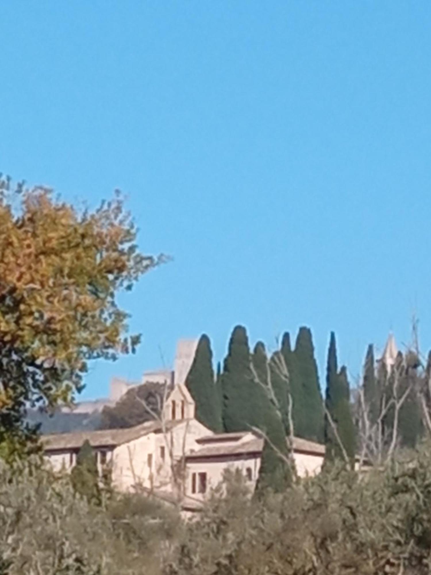 All'Ombra Di San Damiano Asyż Zewnętrze zdjęcie